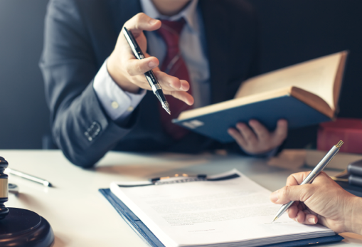 Legal expertise in media law
